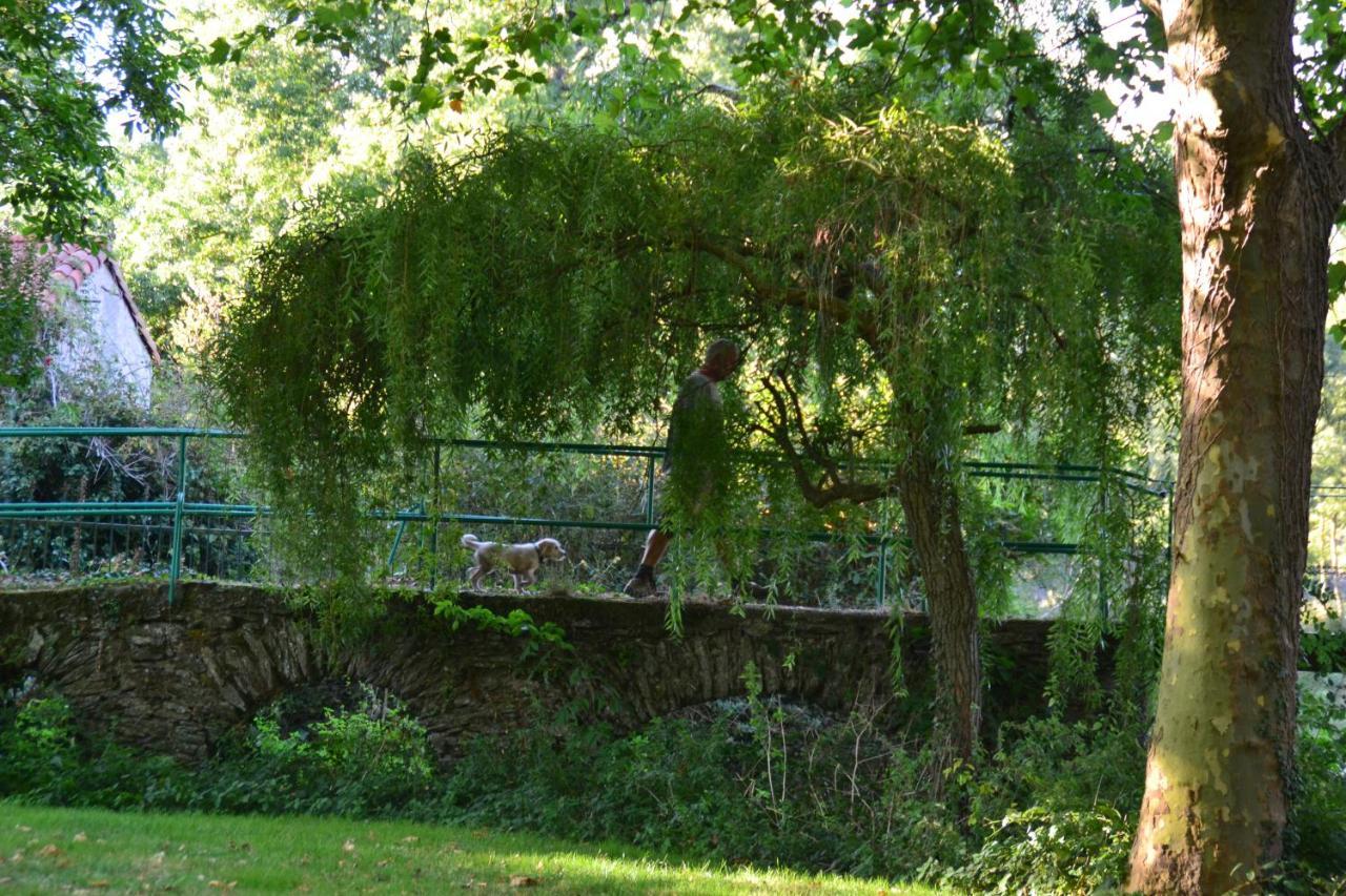 Le Moulin Neuf Villa Beaupréau-en-Mauges Eksteriør bilde