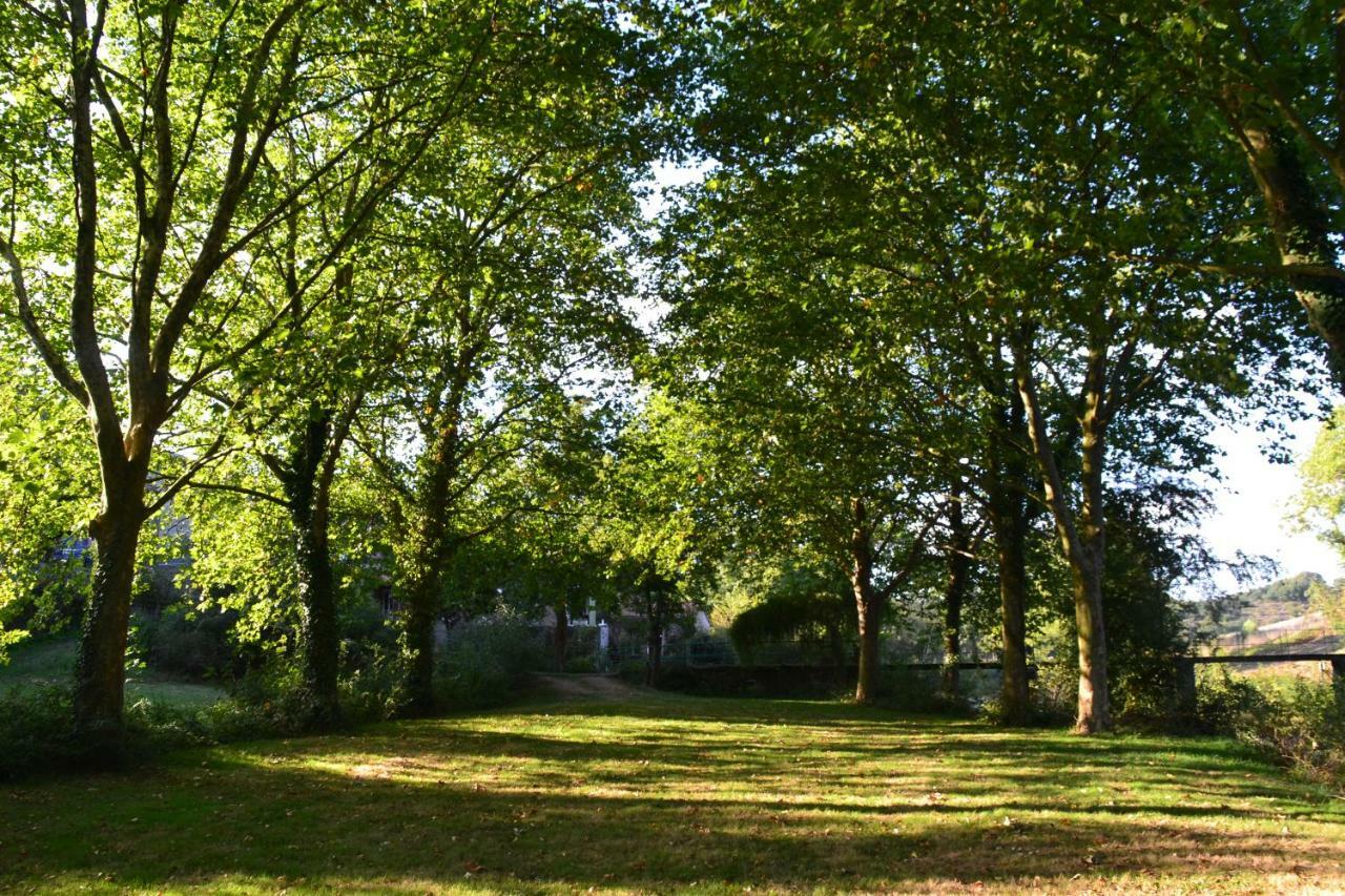 Le Moulin Neuf Villa Beaupréau-en-Mauges Eksteriør bilde
