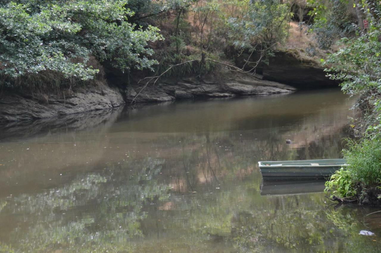 Le Moulin Neuf Villa Beaupréau-en-Mauges Eksteriør bilde